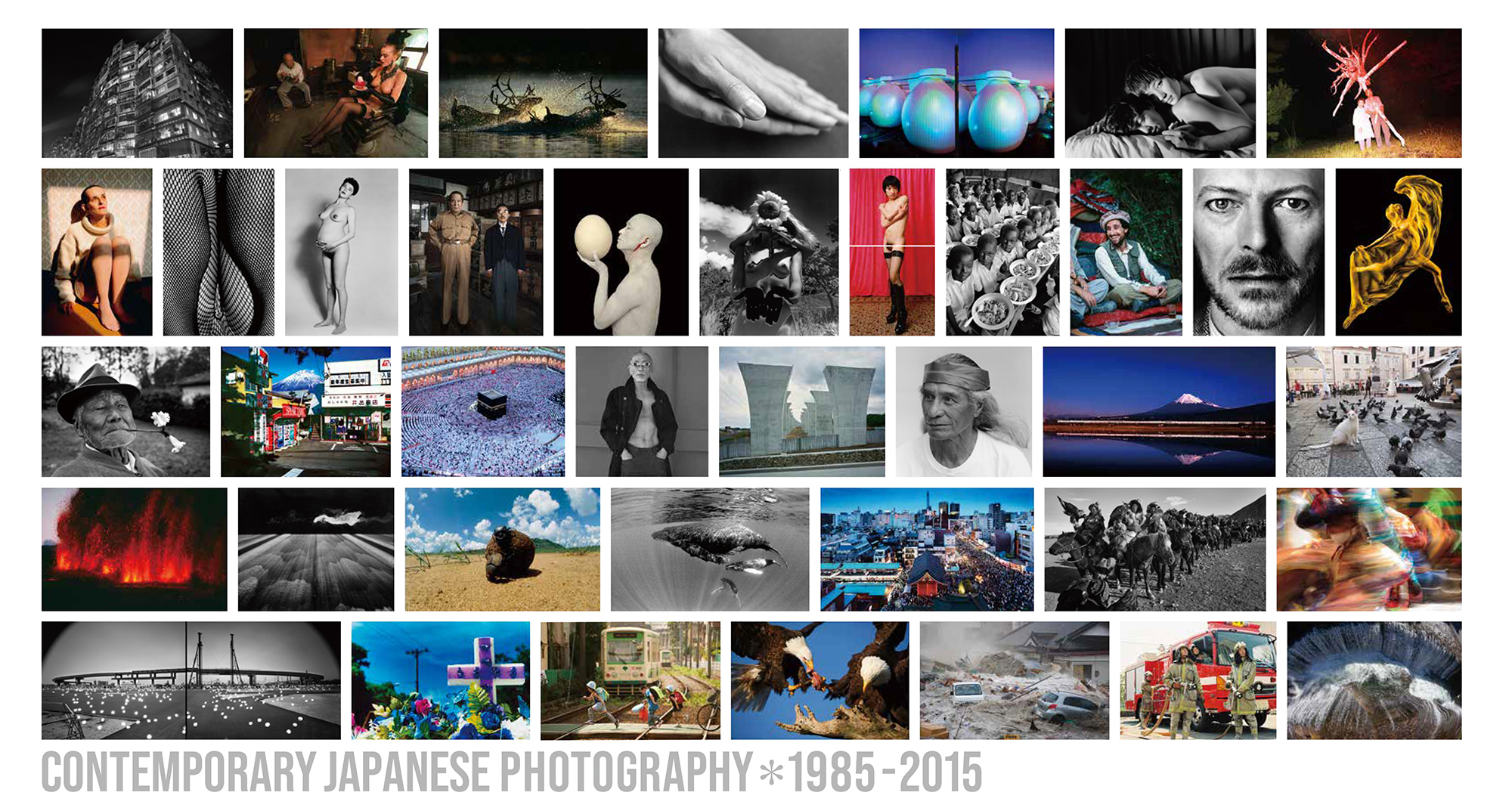 日本写真家協会 創立70周年記念写真展 - 公益社団法人 日本写真家協会